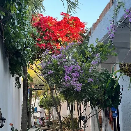 Casa Torices Real 12 Hostal Cartagena