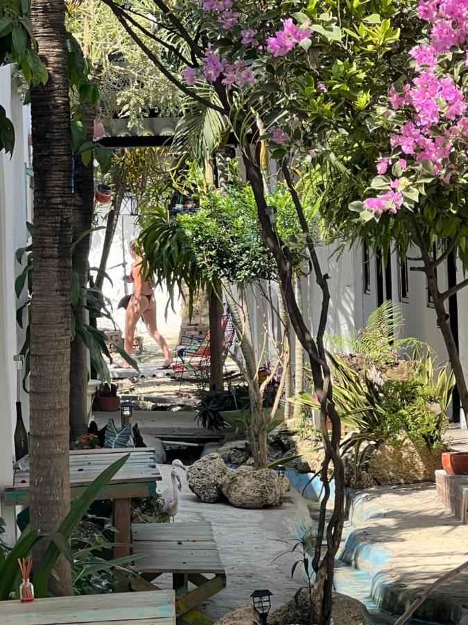 Hostel Casa Torices Real 12