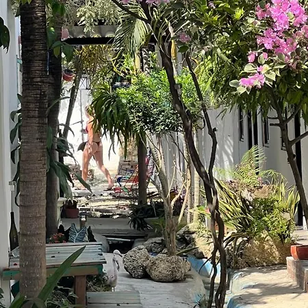 Hostal Casa Torices Real 12